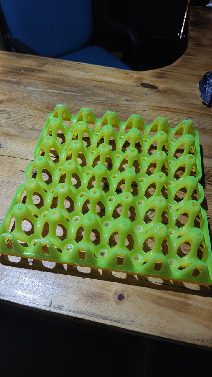 Egg Tray